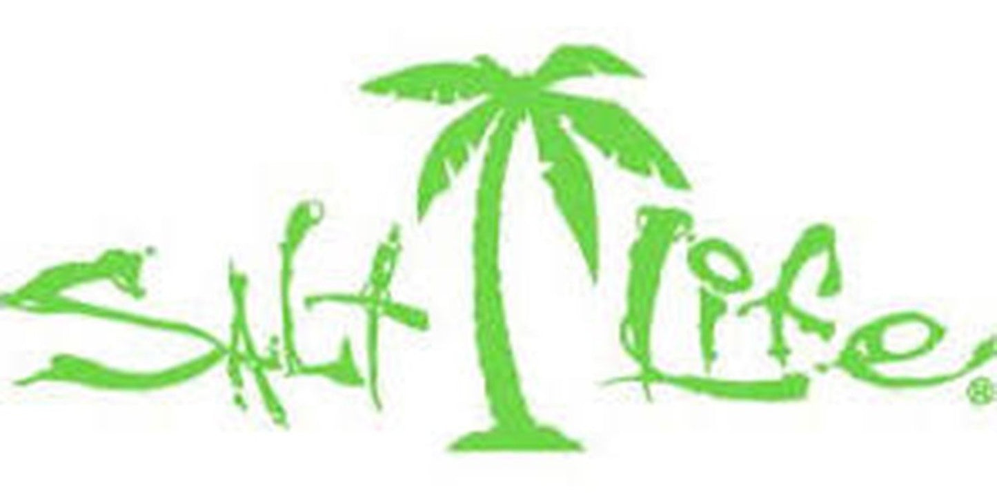 Salt Life Signature Palm Decal Medium Lime