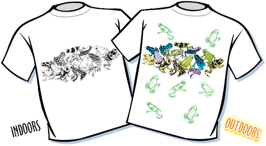 Magic T-shirts Sun Frogs Youth T-shirt