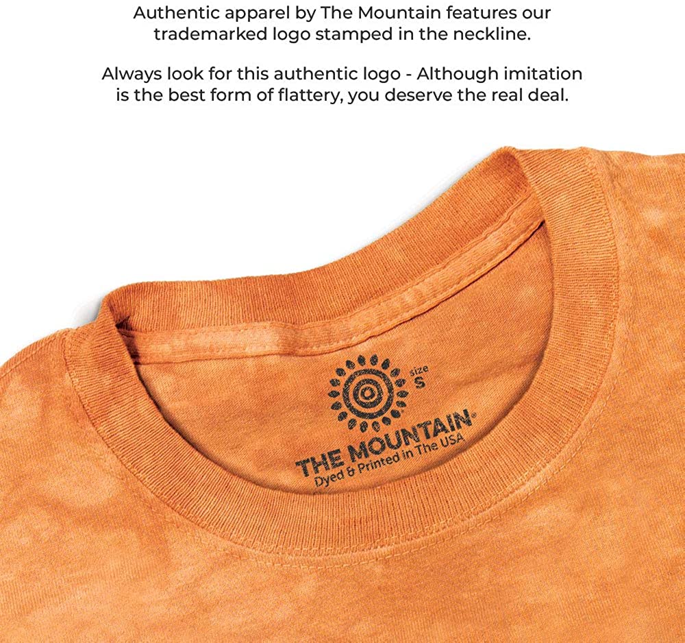 The Mountain Men's Declaration Eagle Flag T-Shirt