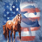 The Mountain Men's Wild Star Flag T-Shirt