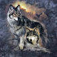 The Mountain Men's Wolf Sunset T-Shirt
